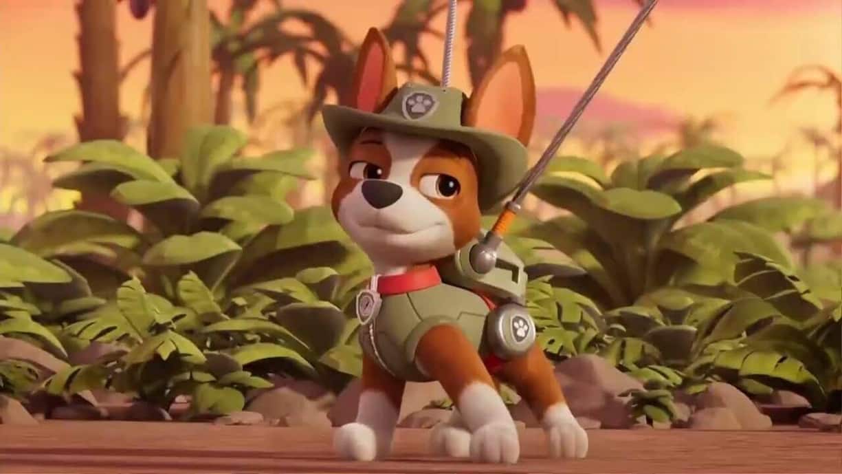 Taffes Bürschchen: Tracker.