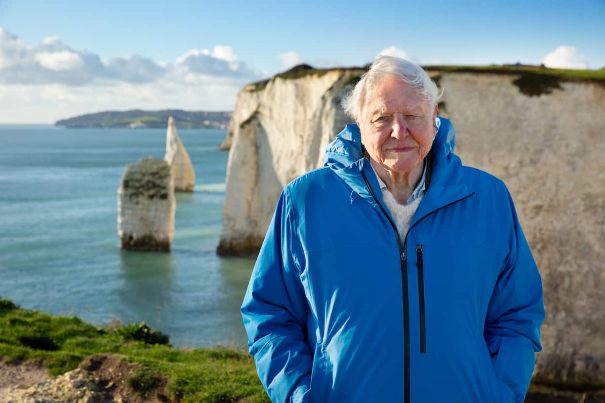 Sir David Attenborough feierte am 8. Mai seinen 99. Geburtstag.
