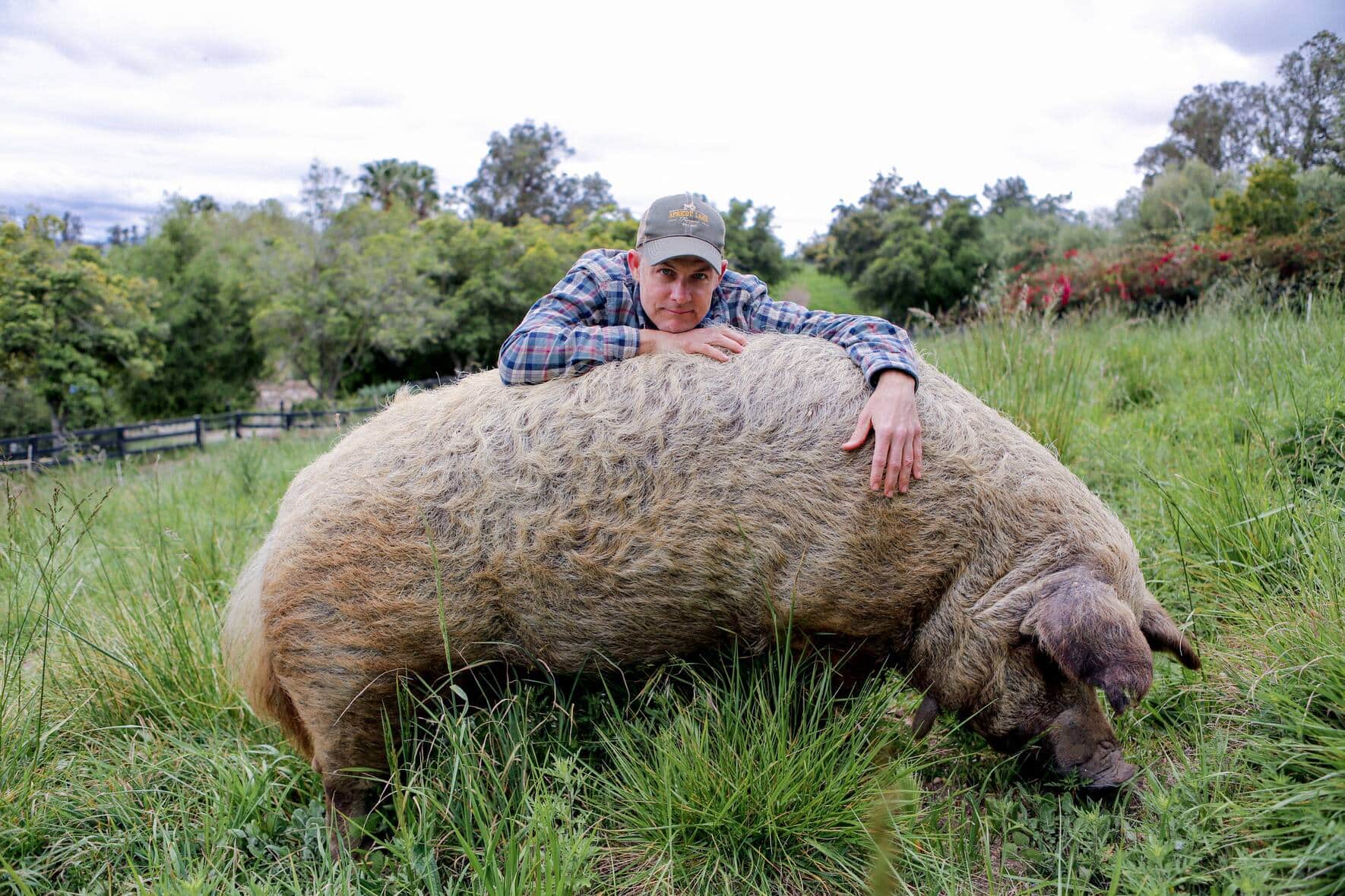 John Chester, Farmer und Mitbegründer von Apricot Lane Farms, mit Schwein Emma.