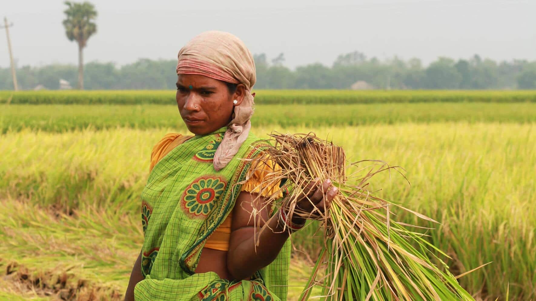Indiens verlorene Schätze